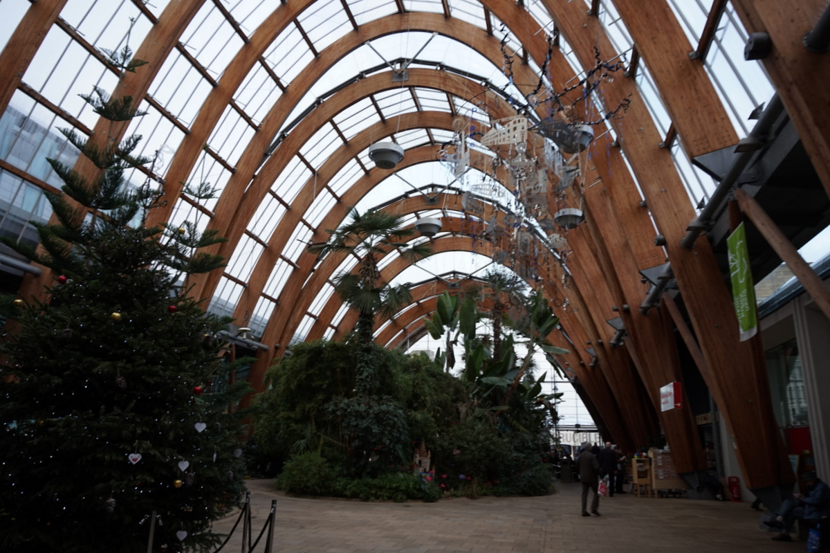 The Winter Garden, Sheffield - geograph.org.uk - 4768869